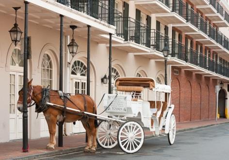 MONDAY, MARCH 18, 2019 NEW ORLEANS PHILADELPHIA IN FLIGHT After breakfast, check out of the hotel and store your luggage.
