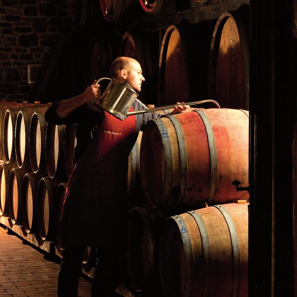 After malolactic fermentation the wine is left to mature in large oak barrels and barrique barrels until bottling.