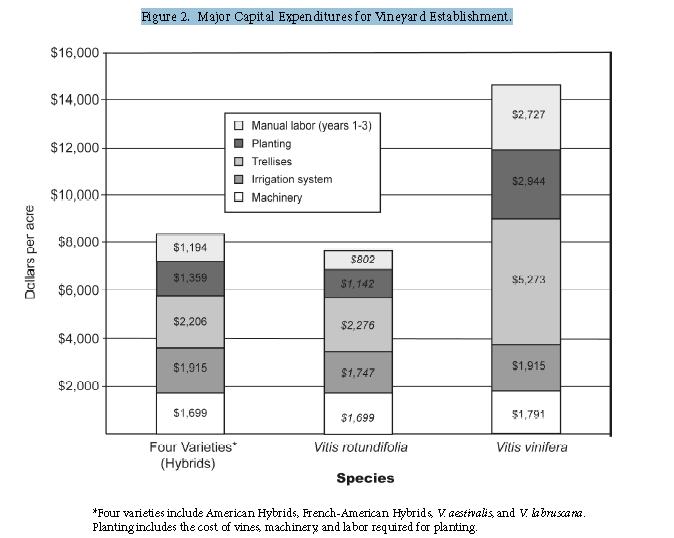 Major Capital Expenditures for Vineyard Establishment Noguera. E., J. Morris, K. Striegler, and M. Thomsen. 2005.