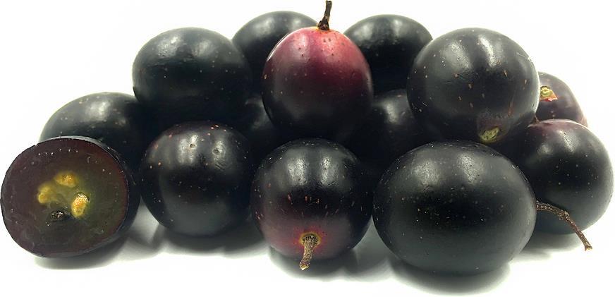 Muscadine Health Benefits Rich source of