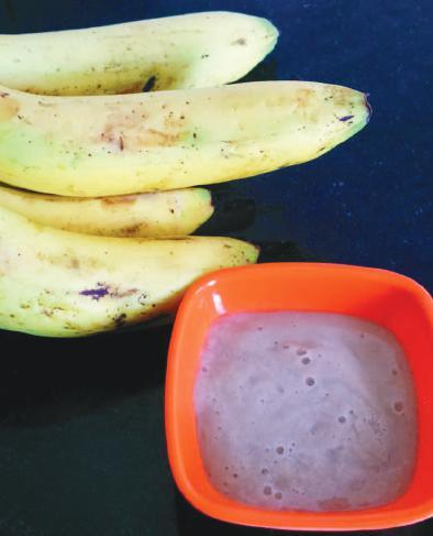 BANANA PUREE Age - Can be given from 5 months Ingredients : 1 medium sized ripe banana Pinch of elachi powder optional Peel and cut the banana into dices Mash with fork or blender Add elachi, it