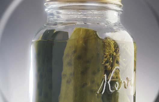 food preservation. Pickled foods add a special touch to many snacks and meals.