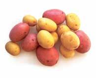 or Yellow Potatoes Kiska Farms Burbank,
