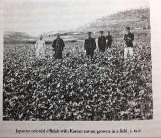 cotton-plantation in Korea Korean cotton export to Japan grew from 37m in mid-1900s to 165m pounds in late 1910s Meanwhile, China became the most important market for Japan s cotton cloth export