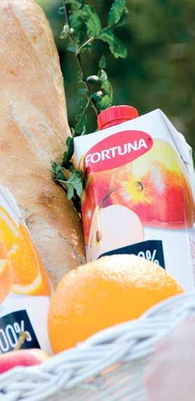 POLMLEK GROUP POLMLEK GROUP On 1 October 2015, Polmlek Group expanded its product portfolio by juices, nectars and soft drinks under well known Polish brands:, Garden, Pysio and Sonda.