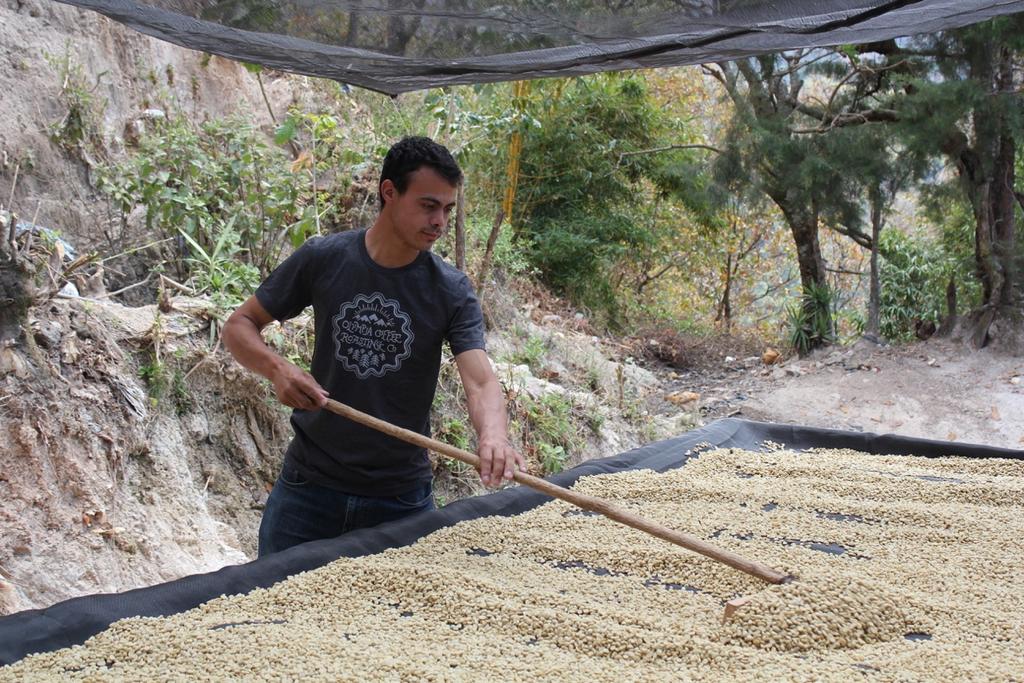 Both historically and currently, the global coffee trade has exploited the poorest and most vulnerable people in the supply chain to benefit those who wield power.