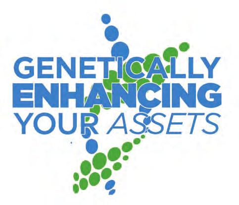 GENECALLY ENHANCING YOUR ASSETS Angus Bulls CCLC Resource C5513-20 CCLC SOURCE 5514 22 Birth Date: 10-8-2015 Bull 18633701 Tattoo: 5514 #RR Rito 707 +Rito 707 of Ideal 3407 7075 Ideal 3407 of 1418