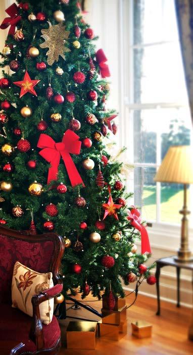 Tailor Made Festive Breaks Christmas Eve MONDAY 24TH DECEMBER Stay from 105 per person* Christmas Day TUESDAY 25TH DECEMBER Stay from 105 per person* Boxing Day WEDNESDAY 26TH DECEMBER Stay from 59