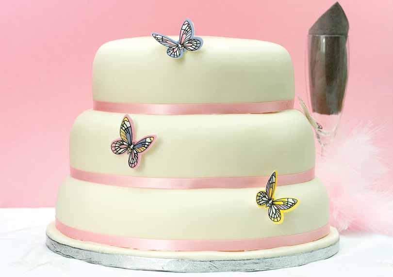 GREAT FOR A CELEBRATION BAKO Sugarpaste Our white and ivory sugarpaste, with its rich vanilla flavour is the perfect accompaniment to your celebration cakes.