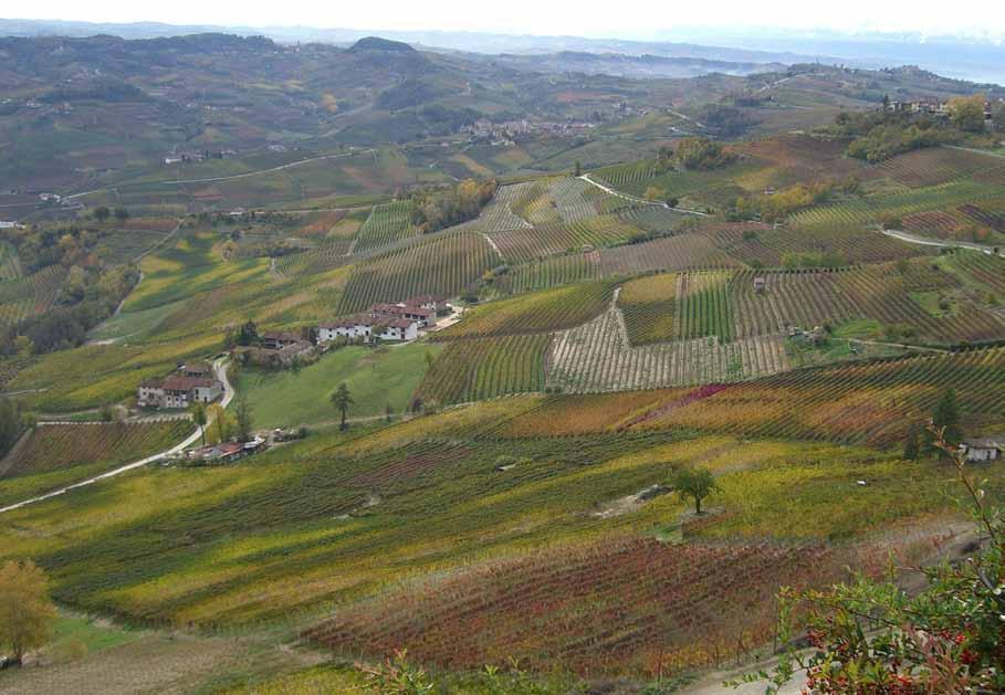 The estate covers an impressive 30 hectares (74 acres) located in the Langhe villages of La Morra, Barolo, Monforte, Serralunga and Montecello d Alba.