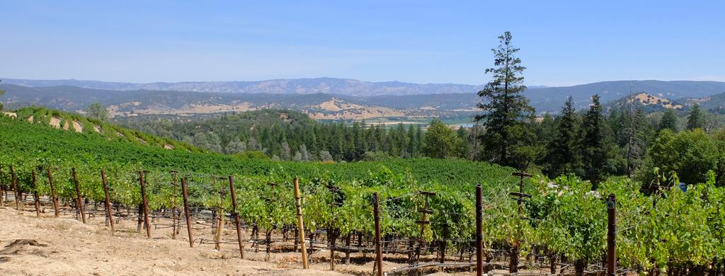Nord Ridge Vineyards 1540 Howell Mountain Road Napa, CA Presented By: