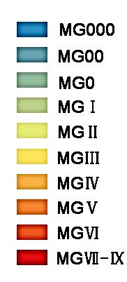 groups (MG)