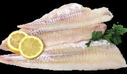 Fillets Product