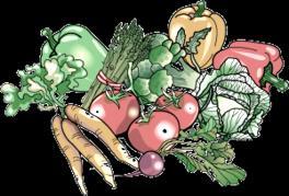 VEGETABLE SECTION Open Classes: Entry Fee 40p per class Class 1st 2nd 3rd 1. COLLECTION OF VEGETABLES 6 kinds of exhibitor s choice.