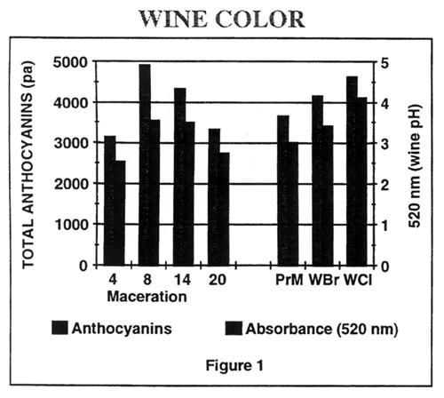 Grape Research Reports, 1996-97: Fermentation Processing Effects on Anthocyanin and... Page 2 of 10 intensity at wine ph (520+420 nm) as well as the highest polymeric pigment content.