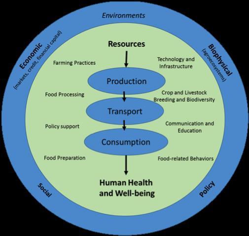 Global Food System "the aggregate of food-related