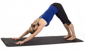 Cool-Down Downward dog From hands and knees postion, push hips