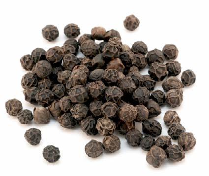 Introduction What is black and wrinkled like a tiny raisin? What has sent men sailing across the ocean and was once used as money? It s pepper! You may have seen pepper in a shaker.