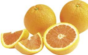Cara Oranges Excellent