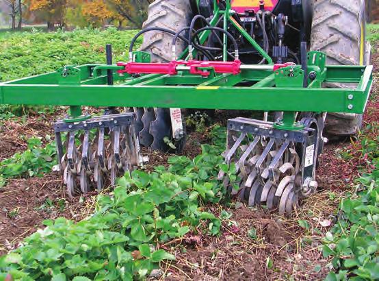 the cultivator gangs Rolling Cultivators are great for uprooting weeds and cutting