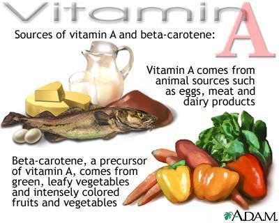 Vitamin A Preformed vitamin A (active form) is found in animal foods Vegans obtain all their vitamin A from conversion of dietary carotenoids, particularly B- carotene Bioavailability