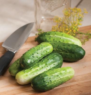 Different varieties of cucumbers are grown for