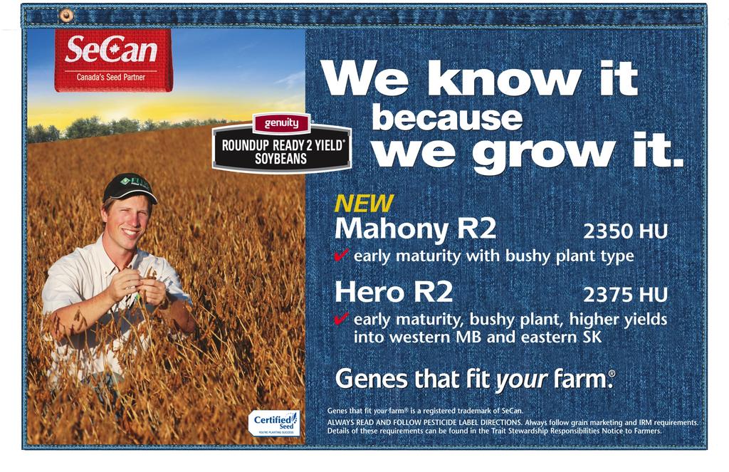 Tolerant Mahoney R2 109% 2350 114 Very Good Branching Susceptible Variety Yield
