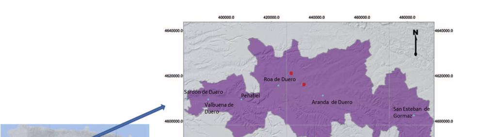 RAMOS EL AL., PHENOLOGICAL RESPONSE OF CABERNET SAUVIGNON UNDER CLIMATE CHANGE, PAG. 2 analyzed in this study were located close to Aranda de Duero, at elevations between 800 and 850 m.