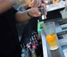 BAR/CANAPES BAR PACKAGE 5 hours of bar service Wine with dinner Bar Rail includes: luksusova, malibu rum, bacardi white,