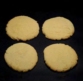 SUGAR COOKIE VISUAL COMPARISON CONTROL - REAL EGGS NEGATIVE CONTROL - NO EGGS or EGG REPLACERS SOY BASED STARCH BASED A STARCH BASED B FIBER