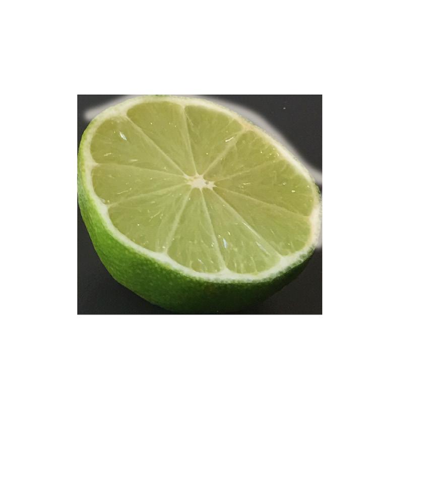 cup diet ginger beer ½ lime, cut