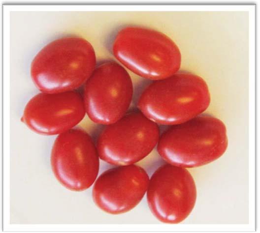 Cherry Tomatoes Cherry Tomatoes