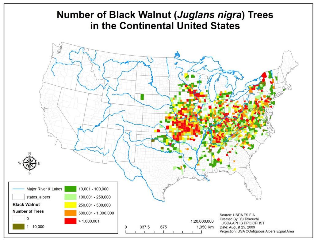 Host trees occur throughout much of the United States, both naturally (Figure 2) and planted (not mapped).