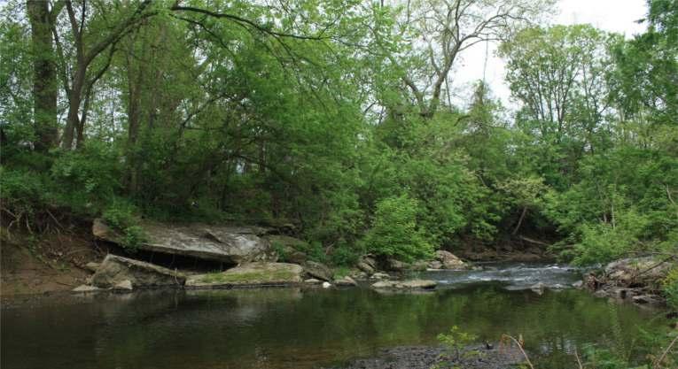 Riparian forest buffers (or simply, streamside forests) have a wide range of functions that lead to improved quality water and enhanced habitat for wildlife.