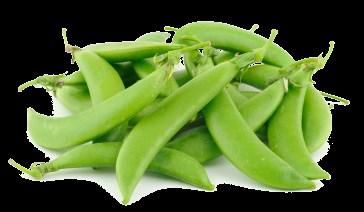 Sugar Snap Peas Slightly sweet flavor with a crunchy texture