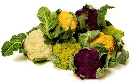 Carnival Cauliflower Similar to white cauliflower with a mild, nutty flavor The bright purple, yellow, and green pigments are packed with