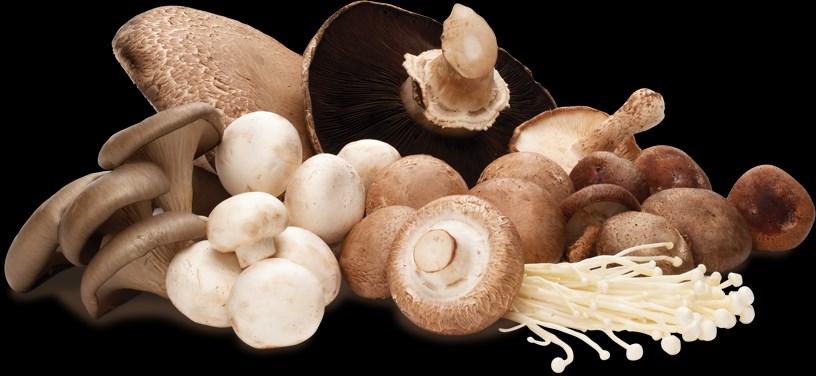 Wild Mushrooms Savory and earthy, known as the meat of the vegetable