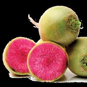 Watermelon Radish Firm and crisp with a mild flavor that is both peppery and