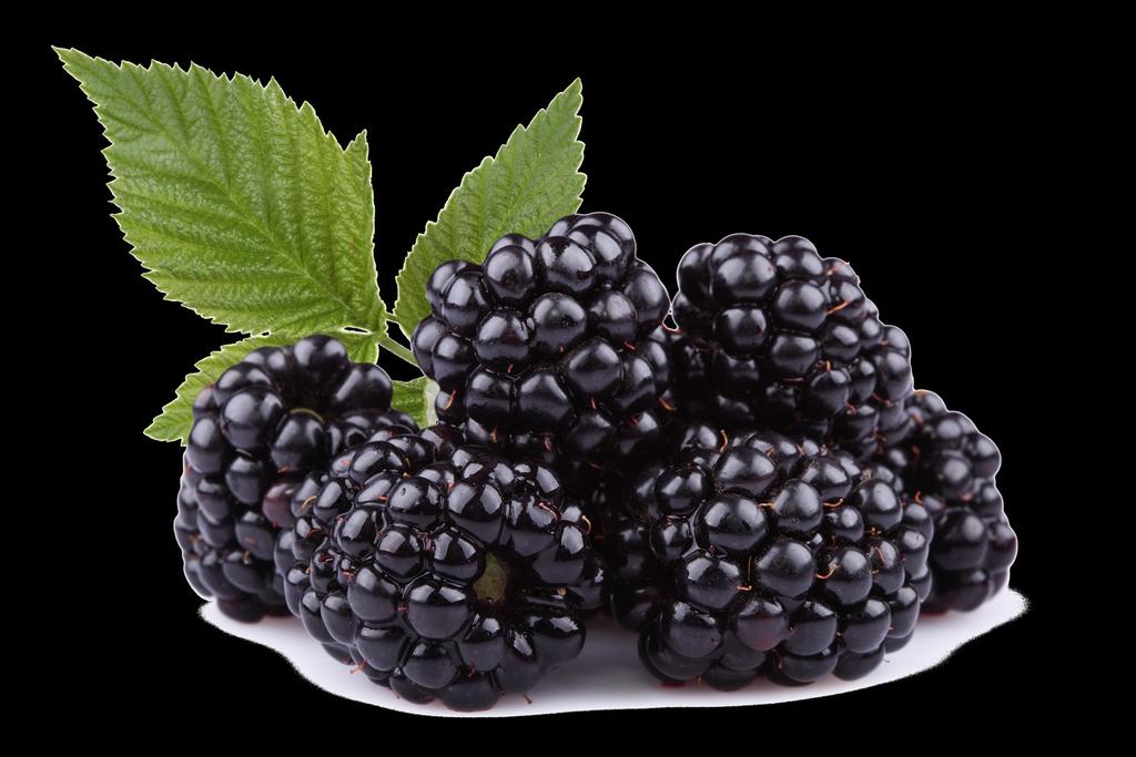 Blackberries A sweet and juicy berry with multiple seeds, may taste tart if under ripe