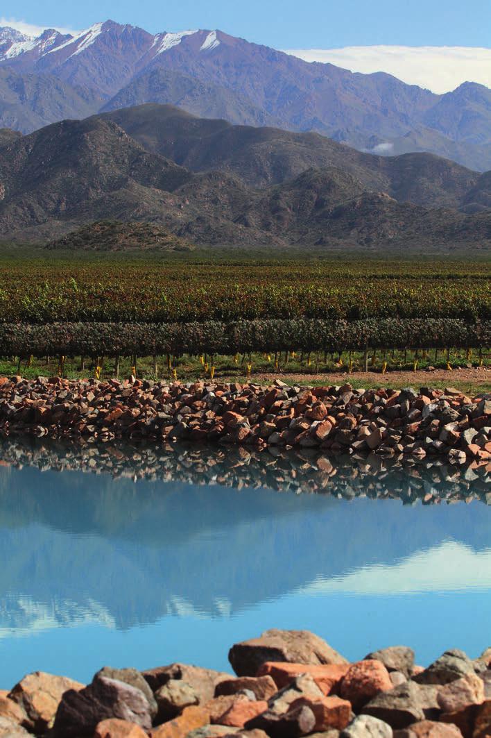 MENDOZA 2017 HARVEST 2017 Warming & Dry A CLASSIC ME NDOZA S VINTAGE If 2016 wasn t enough to be the shortest vintage in the last 60 years, this 2017 has been the 2nd shortest harvest, considering