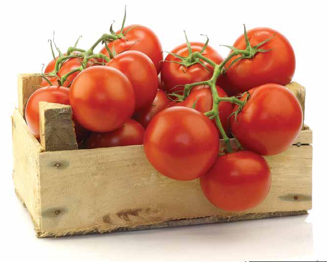 LET S PRESERVE Tomatoes Quality Select only disease-free, preferably vine-ripened, firm fruit for canning. Do not can tomatoes from dead or frost-killed vines.