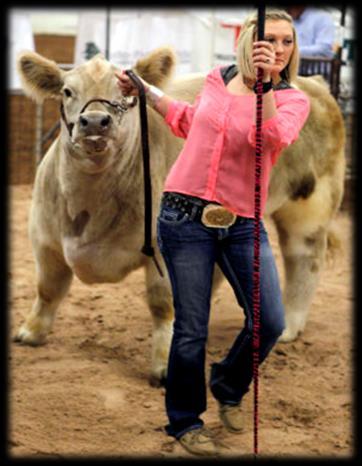 The Bexar County Junior Livestock Show is a non-profit organization dedicated to the success of educating and cultivating the minds