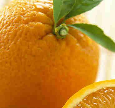 squeezed citrus peels (bergamot, lemon, mandarin,