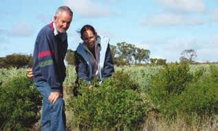 Case study. Greg Richards. Quairading, WA Trialling.the.addition.of.perennial.forage.shrubs.to. an.annual.pasture.feed.base.has.yielded.production. benefi.ts.on.marginal.land.for.greg.richards,.