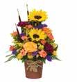 BF636-11KS/L Harvest Greeting Bouquet BF637-11KM Fall Delight Bouquet SUGGESTED RETAIL PRICE: $39.99 S, $59.99 L (shown) SUGGESTED RETAIL PRICE: $39.