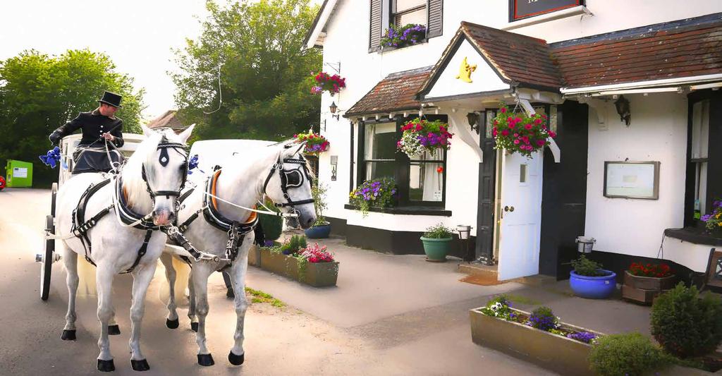 Congratulations on your engagement The Half Moon, Sheet is a fully licensed Wedding Venue located within the heart of the South Downs National Park, in the village of Sheet, just outside the historic