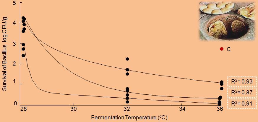 Mortazavi and Sadeghi 9671 Figure 3. Survival curves of Bacillus, versus different sourdough fermentation temperatures, respectively in 8 (R 2 = 0.93), 16 (R 2 = 0.87) and 24 (R 2 = 0.