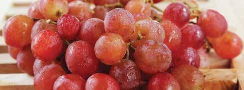 Red Seedless Grapes Summertime Flavor