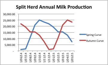 Figure 7: Split herd annual milk production It is important to note that a winter milker will not supply a flat curve. The winter milk premium paid only ensures that milk is produced in June and July.
