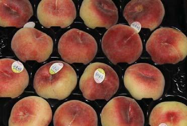 Quality is excellent and even though pricing will firm back up for the rest of June, the fruit should still remain promotable.
